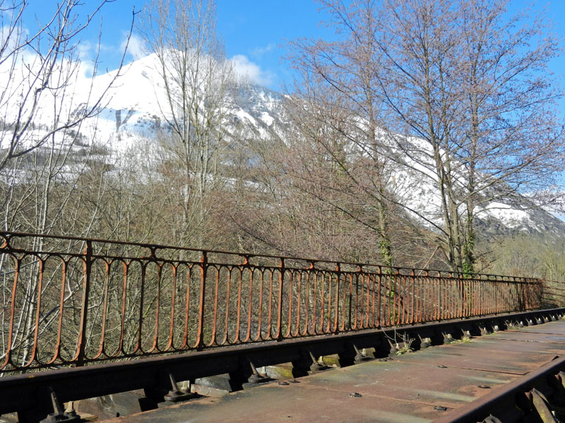 Vaches sous le viaduc