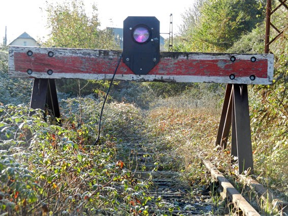 Marina Cabanis Consul